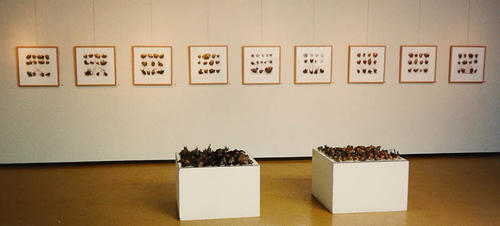 Foto expositie serie aardappel werken