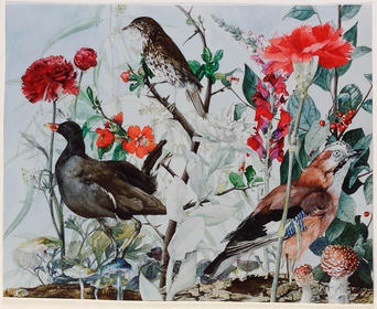 Rode bloemen en vogels