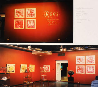 Roos, exposities