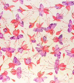 Fucsia bloemen, dessin nr. 19