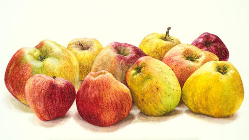 10 Appels
