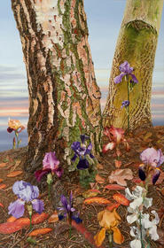 Iris herfst