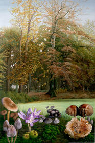 Herfst